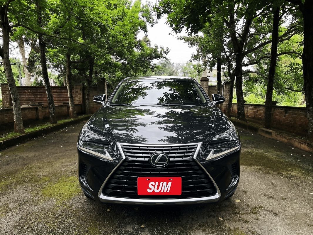 LEXUS NX300 圖 2