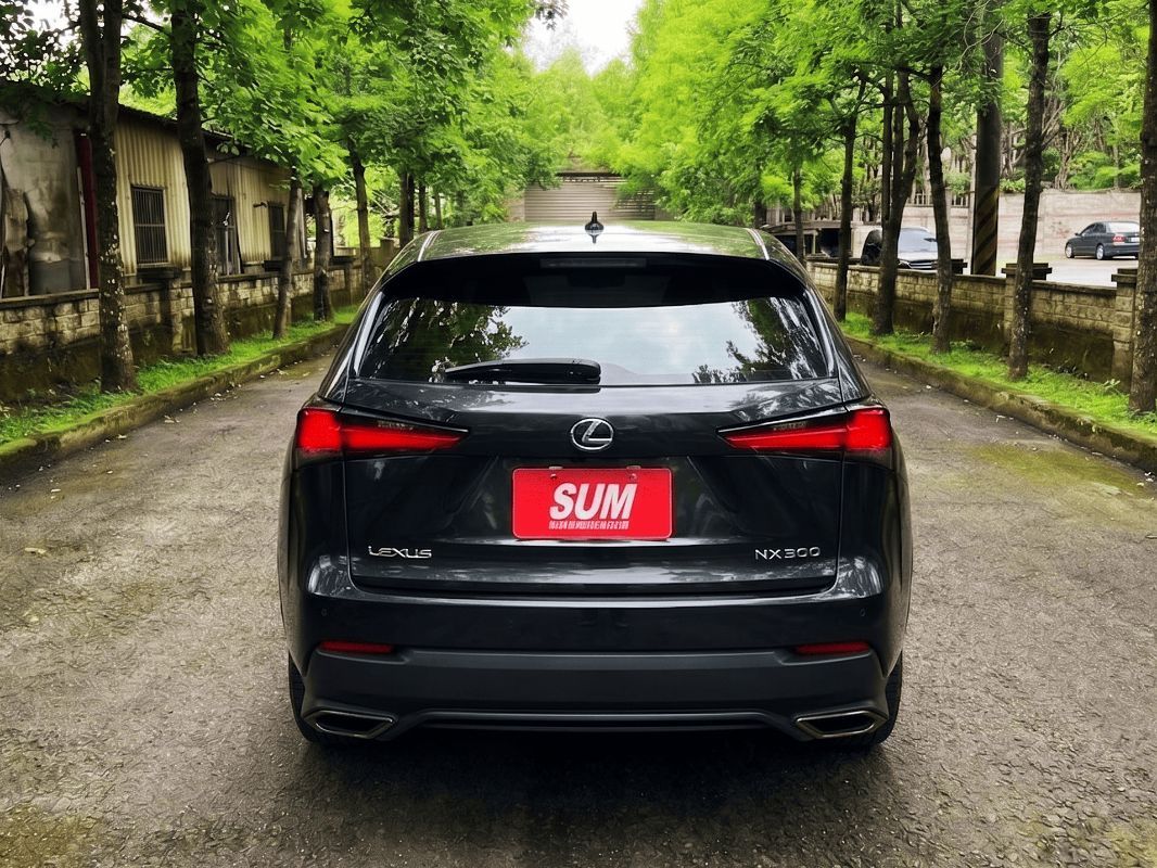 LEXUS NX300 圖 14