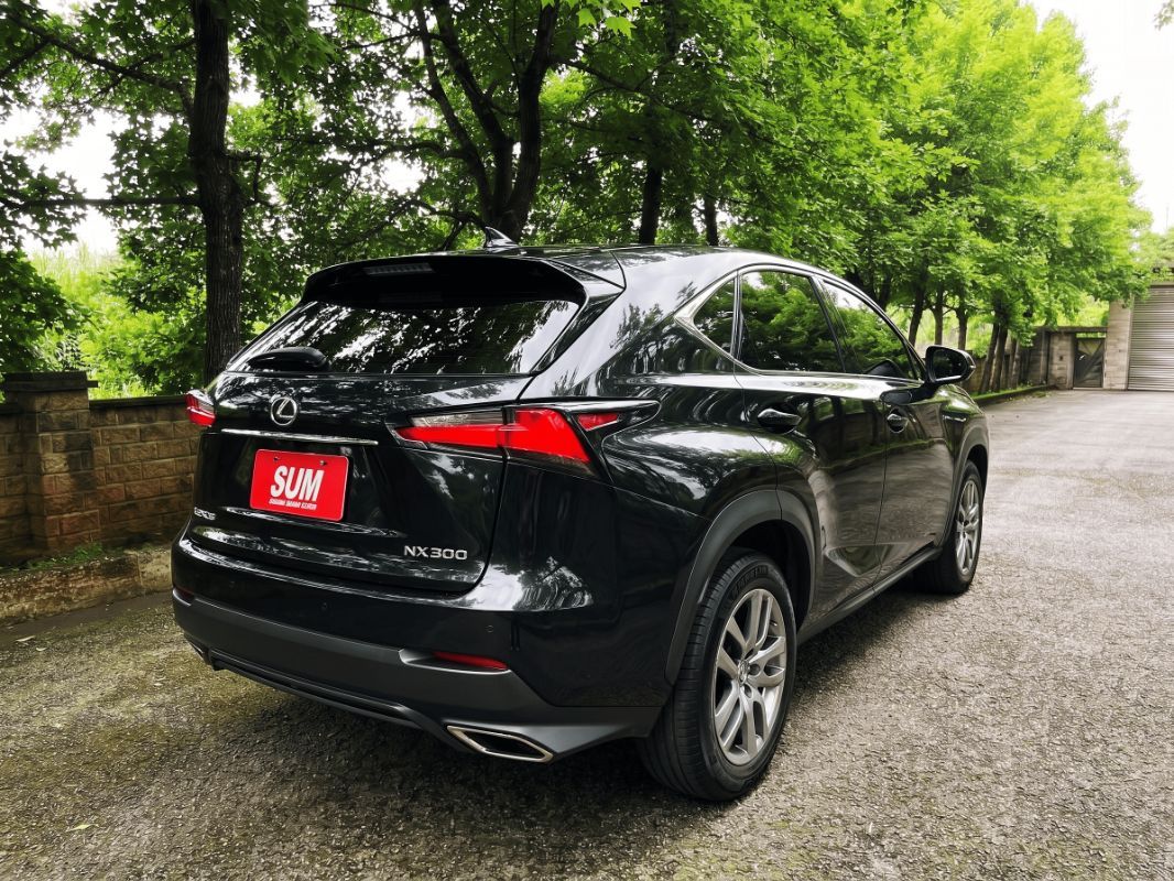 LEXUS NX300 圖 15